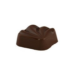 Chocolat Salvadore Praliné Noisette Brésil boite 1,38kg