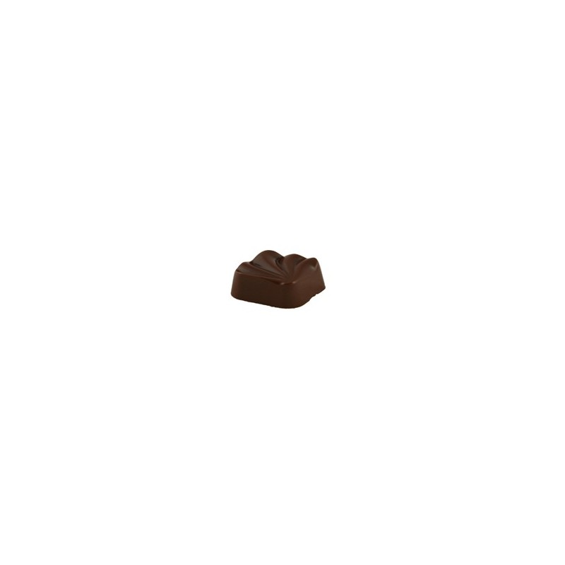 Chocolat Salvadore Praliné Noisette Brésil boite 1,38kg