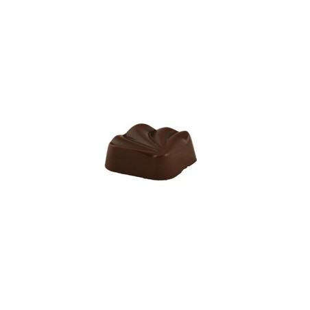 Chocolat Salvadore Praliné Noisette Brésil boite 1,38kg