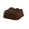 Chocolat Salvadore Praliné Noisette Brésil boite 1,38kg