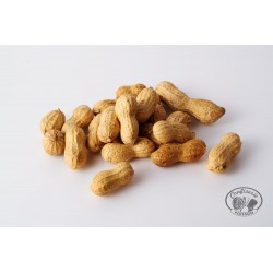 Cacahuètes Coques Grillées 