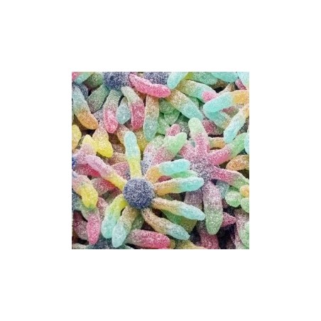 Joubini Acidulé Araignée x 1kg Trolli