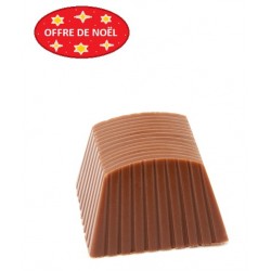 Chocolat Lyon Praliné Eclat Biscuit boite noel 1,4kg