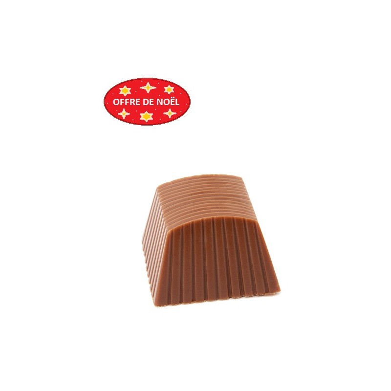 Chocolat Lyon Praliné Eclat Biscuit boite noel 1,4kg