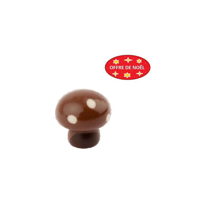 Chocolat Champignon Blanc Praliné 2kg