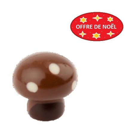 Chocolat Champignon Blanc Praliné 2kg