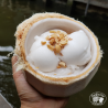 variegato préparation pour glace et dessert professionnel au bon gout de coco croquant colac