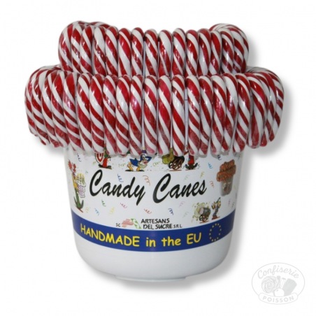 Cannes Rouge & Blanc 28 Gr sucre de canne noel
