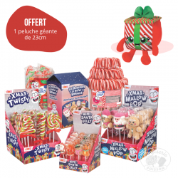 Offre colis de noel 2025 peluche offerte bonbons fizzy