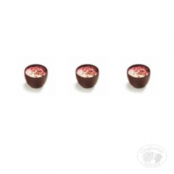 chocolat belge au carton grossiste 1kg chocolat 16g duo ganache framboise fraise