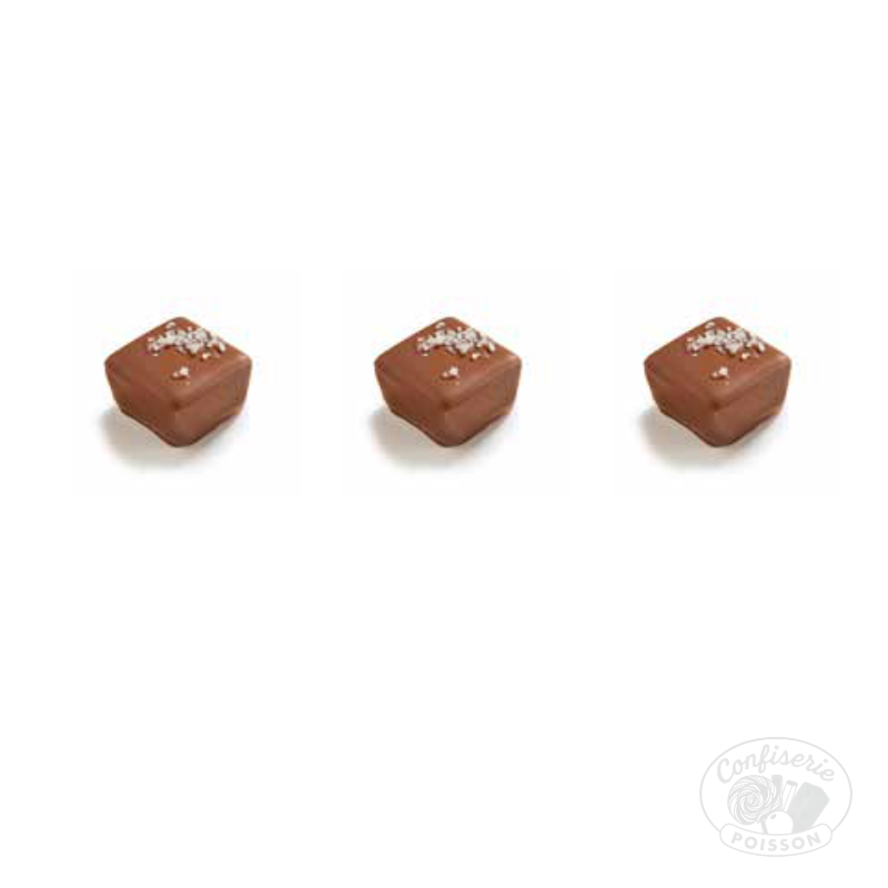 chocolat belge au carton grossiste 1kg chocolat 13g boite 1kg verne ganache au caramel salé et fleur de sel
