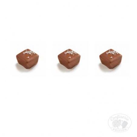 chocolat belge au carton grossiste 1kg chocolat 13g boite 1kg verne ganache au caramel salé et fleur de sel chocolat belge au carton grossiste 1kg chocolat 13g boite 1kg verne ganache au caramel salé et fleur de sel