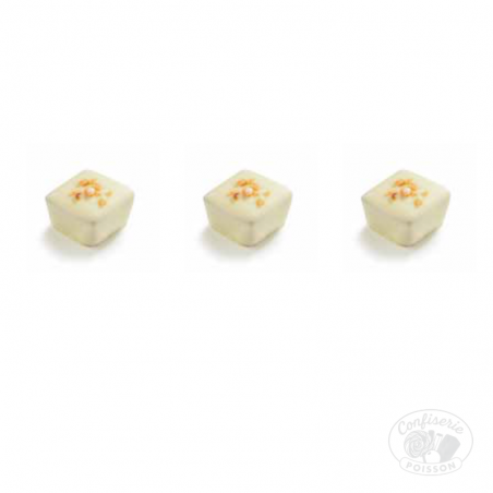 chocolat belge au carton grossiste 1kg chocolat 13g brel chocolat blanc praline bresilienne chocolat belge au carton grossiste 1kg chocolat 13g brel chocolat blanc praline bresilienne