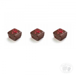 chocolat belge au carton grossiste 1kg chocolat 13g dumas ganache à la framboise