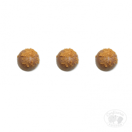 chocolat belge au carton grossiste 1kg chocolat 13g lenart praline speculoos chocolat belge au carton grossiste 1kg chocolat 13g lenart praline speculoos