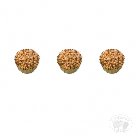 chocolat belge au carton grossiste 1kg chocolat 14g praliné noisettes chocolat belge au carton grossiste 1kg chocolat 14g praliné noisettes