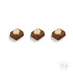 chocolat belge au carton grossiste 1kg chocolat 17g donna praliné noisette