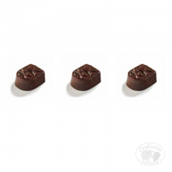 chocolat belge au carton grossiste 1kg chocolat 15g fabiola noir praline noisette