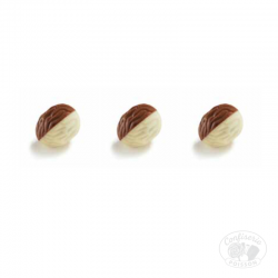 chocolat belge au carton grossiste 1kg chocolat 16,5g nolan blanc et lait praliné brésilienne
