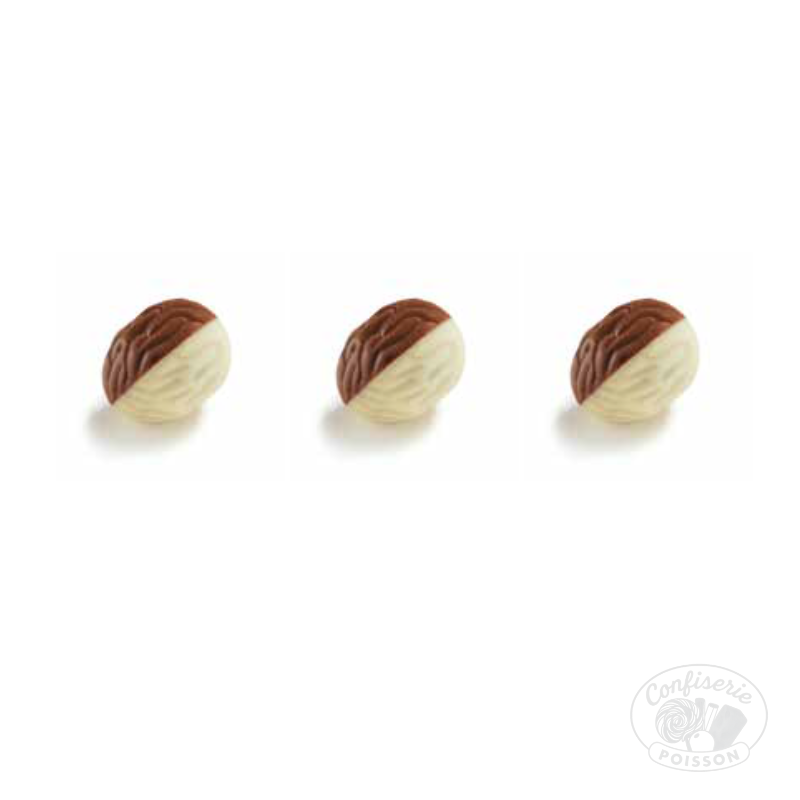 chocolat belge au carton grossiste 1kg chocolat 16,5g nolan blanc et lait praliné brésilienne