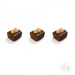 chocolat belge au carton grossiste 1kg chocolat 20g oranga praliné à l'orange