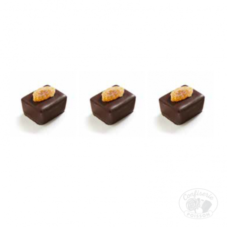 chocolat belge au carton grossiste 1kg chocolat 20g oranga praliné à l'orange chocolat belge au carton grossiste 1kg chocolat 20g oranga praliné à l'orange