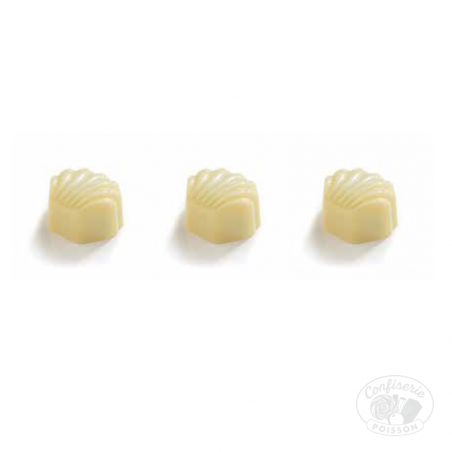 chocolat belge au carton grossiste 1kg chocolat 14,7g fleur du bresil praline noisette chocolat belge au carton grossiste 1kg chocolat 14,7g fleur du bresil praline noisette