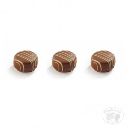 chocolat belge au carton grossiste 1kg chocolat 16,4g honey and crunch praline noisette au miel et croustillante chocolat belge au carton grossiste 1kg chocolat 16,4g honey and crunch praline noisette au miel et croustillante